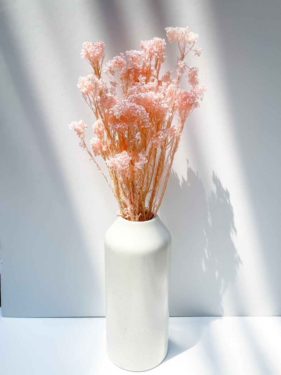Dried & Preserved Flowers – Wild Pampas
