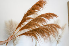 Load image into Gallery viewer, SEDONA