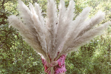 Load image into Gallery viewer, PAGE