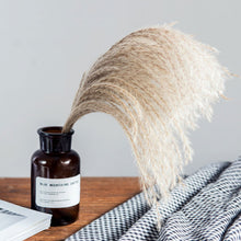 Load image into Gallery viewer, SMALL MONROE