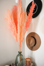 Load image into Gallery viewer, PINK PAMPAS