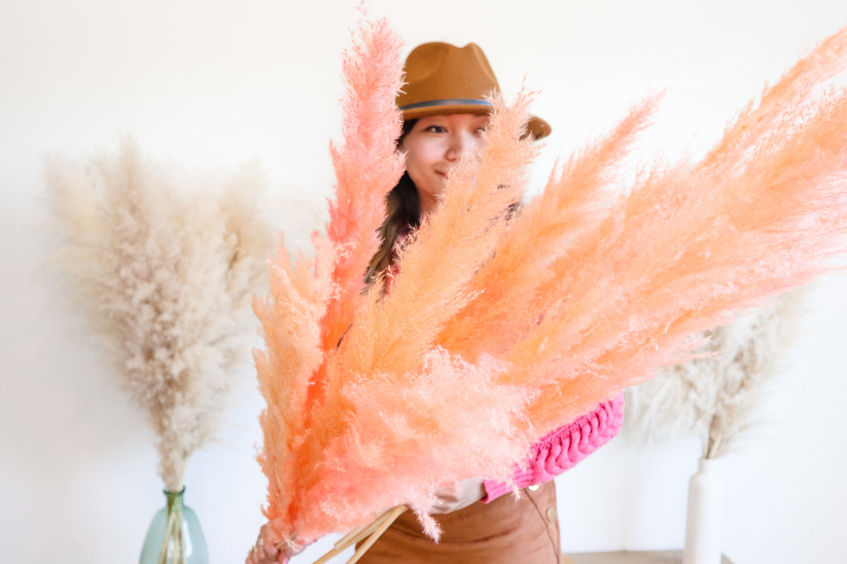 PINK PAMPAS – Wild Pampas