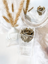 Load image into Gallery viewer, La Petite Bijoux Box