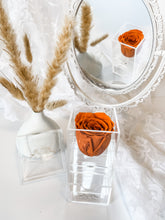 Load image into Gallery viewer, La Petite Bijoux Box