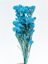 Load image into Gallery viewer, Preserved Rice Flower