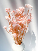Load image into Gallery viewer, Preserved Rice Flower