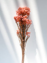 Load image into Gallery viewer, Preserved Rice Flower