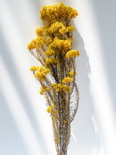 Load image into Gallery viewer, Preserved Rice Flower
