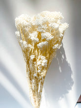 Load image into Gallery viewer, Preserved Rice Flower