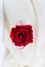 Load image into Gallery viewer, Mini Infinity Signature Round