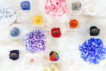 Load image into Gallery viewer, La Petite Bijoux Box