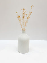 Load image into Gallery viewer, Celine Vase