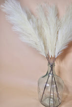 Load image into Gallery viewer, FAUX PAMPAS
