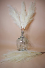Load image into Gallery viewer, FAUX PAMPAS