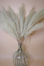 Load image into Gallery viewer, FAUX PAMPAS