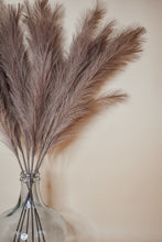 Load image into Gallery viewer, FAUX PAMPAS