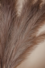 Load image into Gallery viewer, FAUX PAMPAS