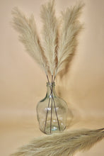 Load image into Gallery viewer, FAUX PAMPAS