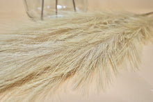 Load image into Gallery viewer, FAUX PAMPAS