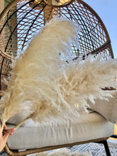 Load image into Gallery viewer, MONROE