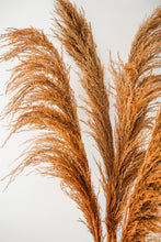 Load image into Gallery viewer, SEDONA