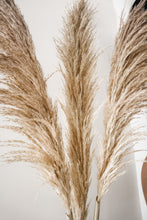 Load image into Gallery viewer, GOLDEN HOUR