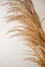 Load image into Gallery viewer, GOLDEN HOUR