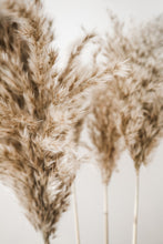 Load image into Gallery viewer, AUGUST