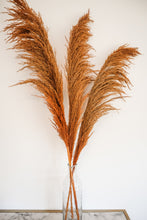 Load image into Gallery viewer, SEDONA