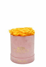 Load image into Gallery viewer, Infinity Signature Round