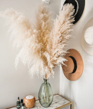 Load image into Gallery viewer, MONROE