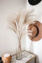 Load image into Gallery viewer, SMALL MONROE