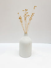 Load image into Gallery viewer, Celine Vase
