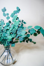 Load image into Gallery viewer, PRESERVED EUCALYPTUS
